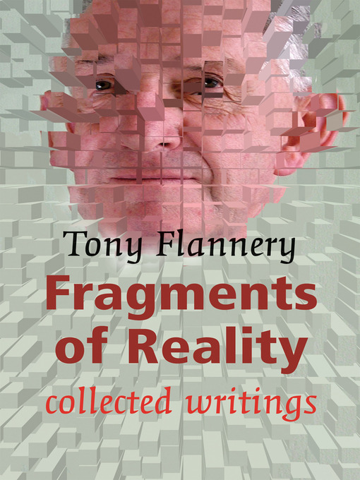 Title details for Fragments of Reality by Tony Flannery - Available